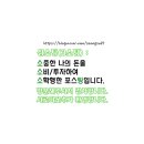 떼데움 이미지