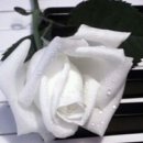 겨울아침창가에서 이미지