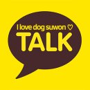 새로운 가족들을 소개해드리는 시간이 또 왔어요~~ :) 수원아이러브독 실제강아지분양후기