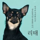 리태 이미지