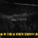 모엠