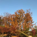 미호박물관 이미지