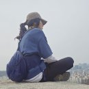 선바위매점 | “인왕산 개나리 군락지 가는 법, 주차, 개화시기 인왕산 개나리 군락지 실물 후기”