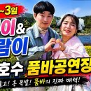 호수공연장 Daum카페