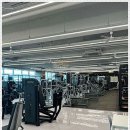 웰니스핏 이미지