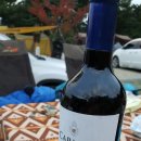 한티 별빛아래 관광농원 야영장 이미지