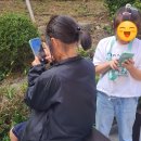 가평초등학교 앞 이미지