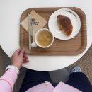 덕진종로약국 | 전주아기고양이 입양, 쉬는 사람의 일기