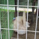 대경목장 이미지