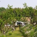 꼼지의 작은세상 이미지