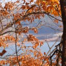 선비 코스 이미지