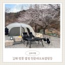 경남 김해 벚꽃 캠핑 천문대오토캠핑장 (명당 사이트 추천)