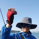 효자도5 이미지