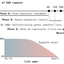 PE02191 sciencenews