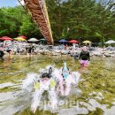 공공용 16 이미지