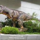 공룡(마트) 이미지