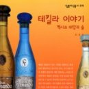 태양 에디션