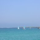 제주특별자치도 장애인요트연맹 이미지