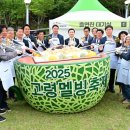 고령 멜빙축제 이미지