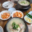 천일 | 동대문역사문화공원 DDP 맛집 천일삼계탕 내돈내산 후기