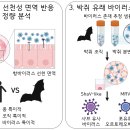 장기로 이미지