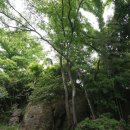 백운동 정원 이미지