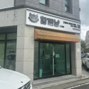 함께냥 대전점 | 🐾 대전 고양이 미용, 샴 8살 노묘 바둑이랑 함께냥 첫 방문 후기! 무마취 미용🩷 젤 빠르게 끝났던 미용