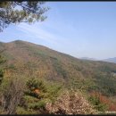 상마농장 이미지