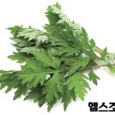 좌훈까페