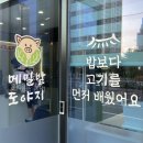 메밀밭도야지 이미지