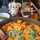 북광장 야외무대 | 다시 돌고 돌아 제자리로 오겠지 (세븐틴 콘서트 후기)