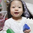 베베앙드레 이미지
