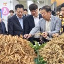 진안농협 하나로마트 이미지