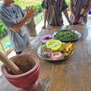 코끼리잠 | 2025 Chiang Mai-3, Thailand (코끼리투어 / 마야몰간김에 님만해민맛보기 / 또 수영 / 치앙마이에서...
