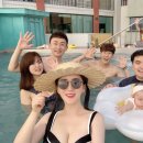 슈가브리움 이미지