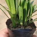 한진2농장 이미지