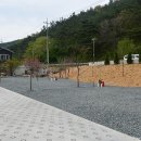 내를 건너서 숲으로 캠핑장 이미지