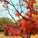 아산행정사 이미지