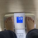 엘바디핏 이미지