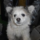 대곡파출소 이미지