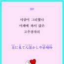 재미있는 일본어 회화 중급 이미지