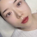 보네르 브로우