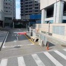 시청,용인대역 이미지