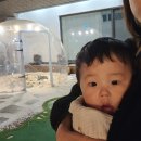 메모아르경주 이미지