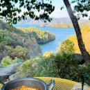 게으른 악어 이미지