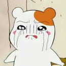 시온고 이미지