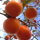 청도한의원 이미지