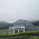 벌교동물병원 이미지