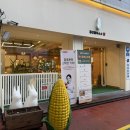 싱싱베이커리 정선