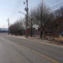 상리길(풍산읍) 이미지